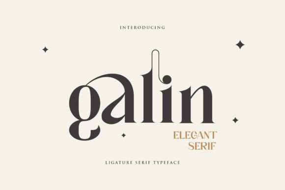 Elegant Galin: A Serif Font for Craft and Design