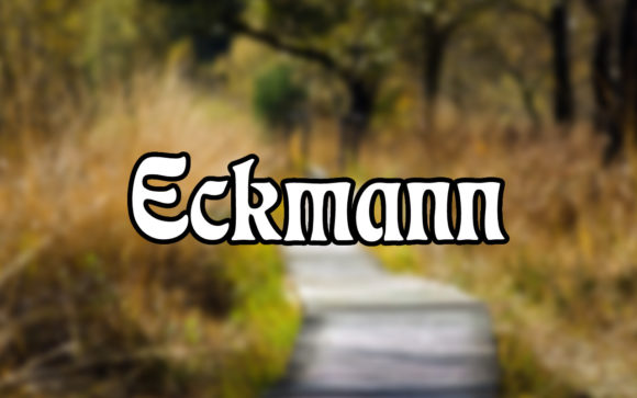 Enhance Your Brand with Eckmann: A Versatile Serif Font