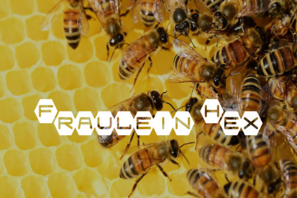 Enhance Your Web Design with Fraulein Hex Font