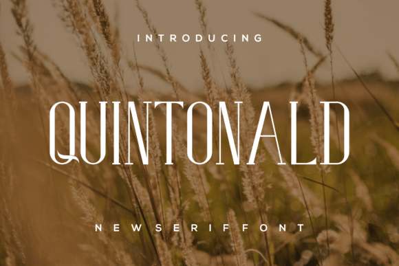 Quintonald: A Stylish Serif Font for Elegant Web Design